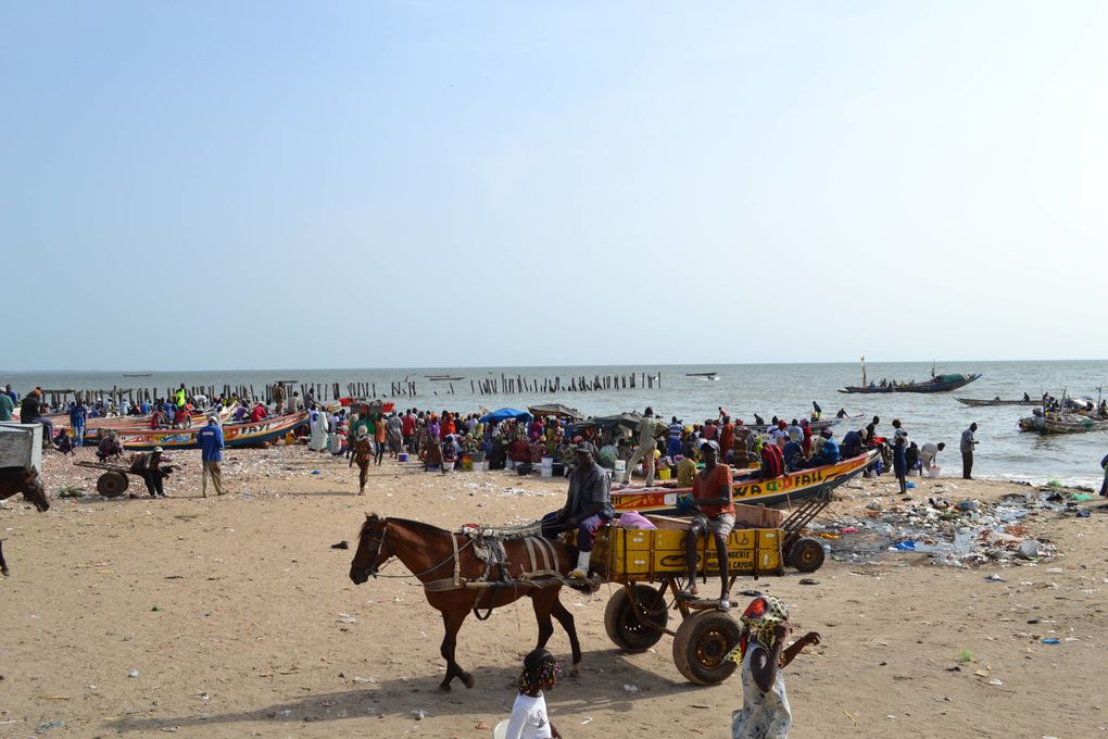 Album - Senegal