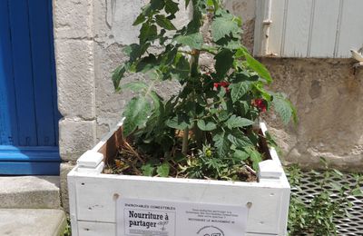 Incroyable, des légumes à partager dans les villes !