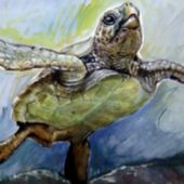 Peindre des tortues marines ou terrestres