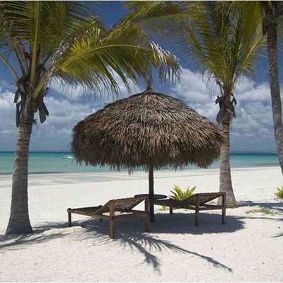 Miguel Iturria Savon