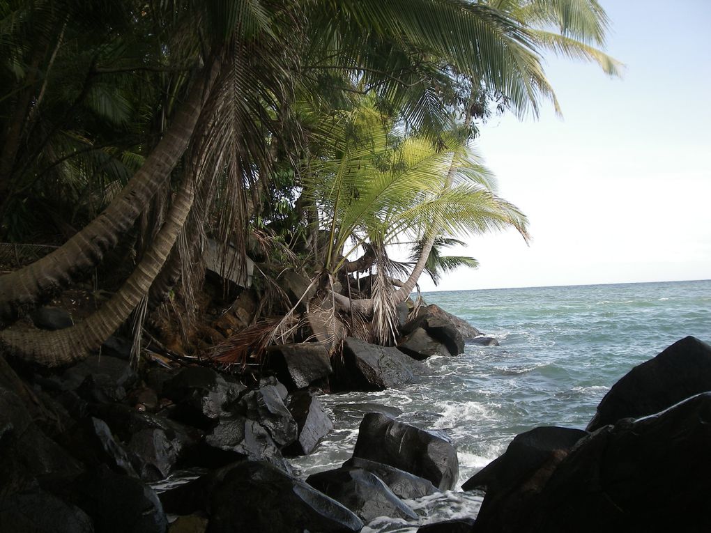 Album - Les îles du Salut