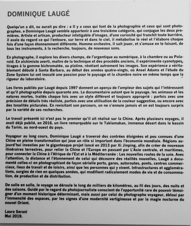 Expo Dominique Laugé
