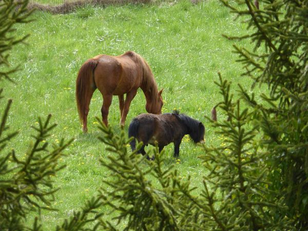 Casse croute aux champs