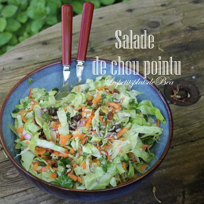 Salade de chou pointu