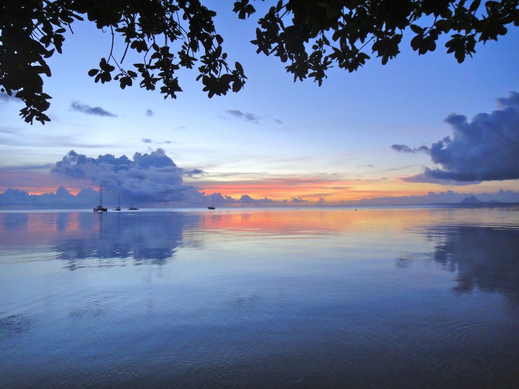 Album - album-Huhine-Raiatea-Tahaa