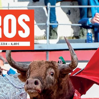 TOROS