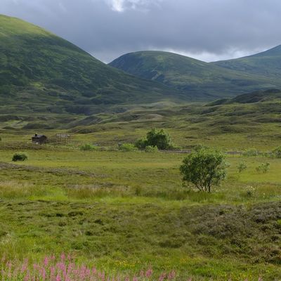 Road Trip dans les Highlands