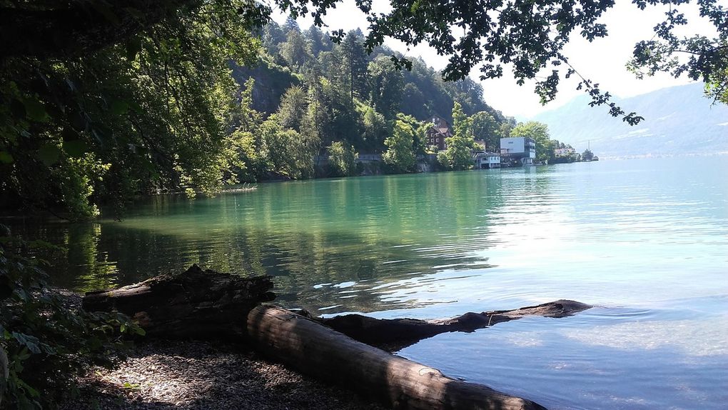 Lac de Zoug et Lucerne