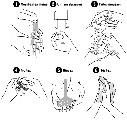  Lavage des mains : Réduire le risque d'infections courantes