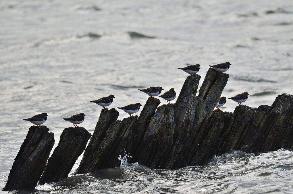 Album - Bretagne