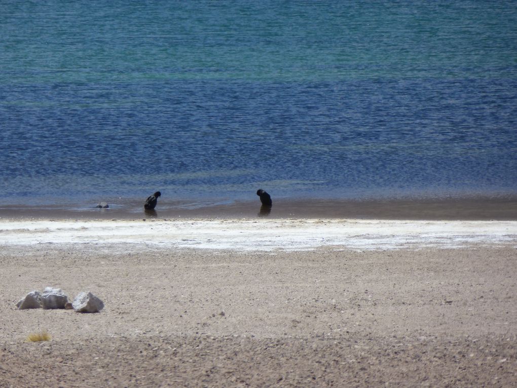 Album - S4-5-Promenade-andine