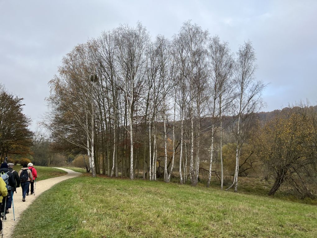 Randonnée de Jouy-en-Josas à Igny - 15 km.