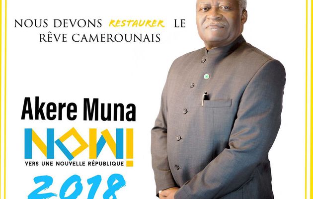 Maître Akere Muna, une compétence  continentale et internationale affirmée lors du 30ième sommet de l’union africaine à Addis Abeba sur la réforme  de l’organisation panafricaine et les conflits à travers le continent.