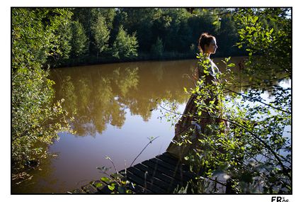 Forêt de Sologne : le ponton (2)