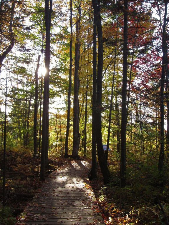 Pays Etranger - Le chemin de Blainville - CA