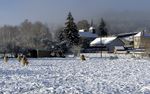 Les Amis de la Plaine vous souhaitent une bonne année 2012 !