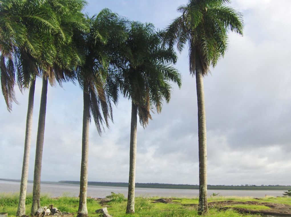 Voici quelques photos de cette première journée guyanaise ! Au programme balade à la pointe des Roches (à la pointe Est de Kourou) où se trouve le phare Dreyfus. Ce phare permettait de communiquer avec le bagne (les Iles du Salut) par sémaphore