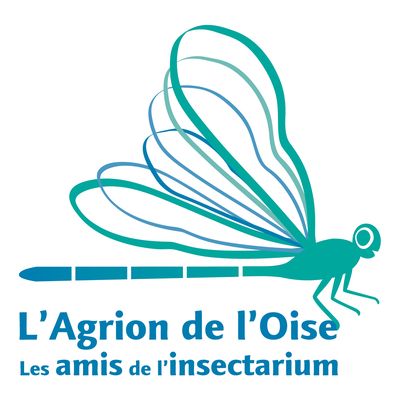 L'Agrion de l'Oise