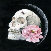 . La vie, la mort et des choses entre by Melissa Hartley.