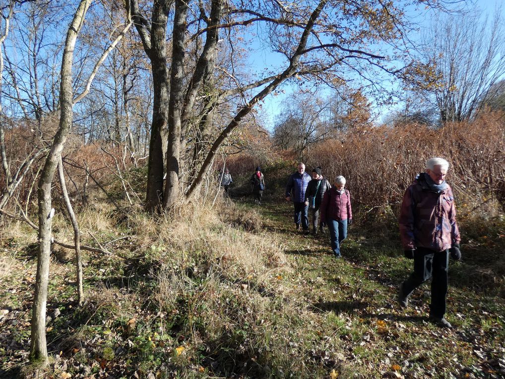 Balade hebdomadaire du Capsc le long de la Moselle