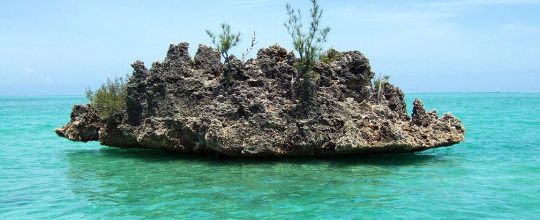 Sur une petite île… si simplement,...En una isla pequeña…tan simplemente,