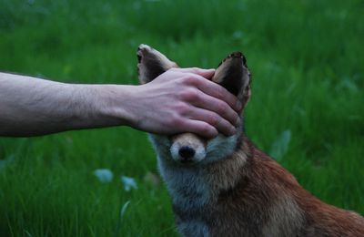 Du nouveau en photo!