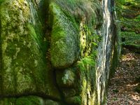 Etres de la Nature et Elémentaux