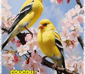 Bonne journée avec bels oiseaux - Printemps - gif animé