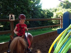 Stage Théatre Equestre  (29/07-02/08)