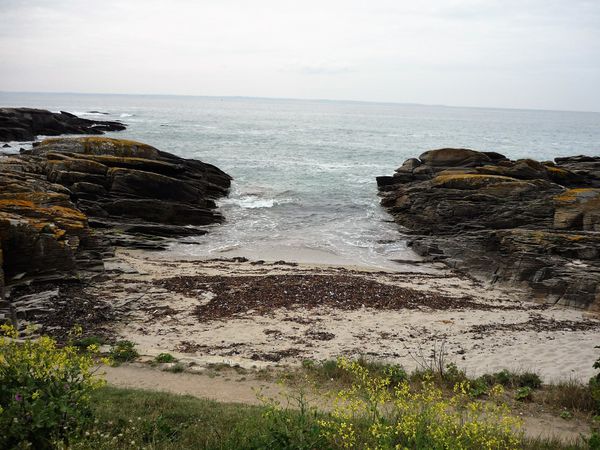 Quiberon (Morbihan)