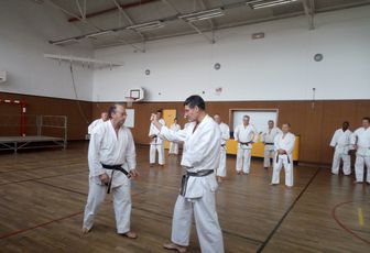 Stage Technique Michel Polidor : 28/29 Janvier 2017