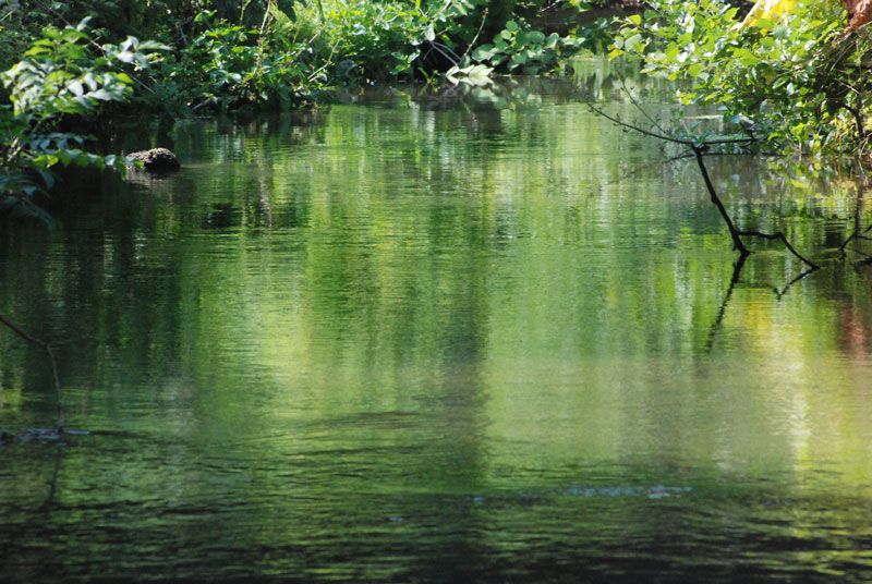 La Sinope, fleuve qui se jette dans la mer à Quinéville.