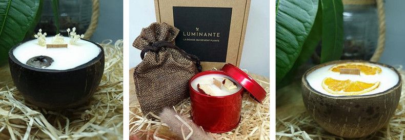 Luminante - La bougie qui devient plante - Senteur Fleur de