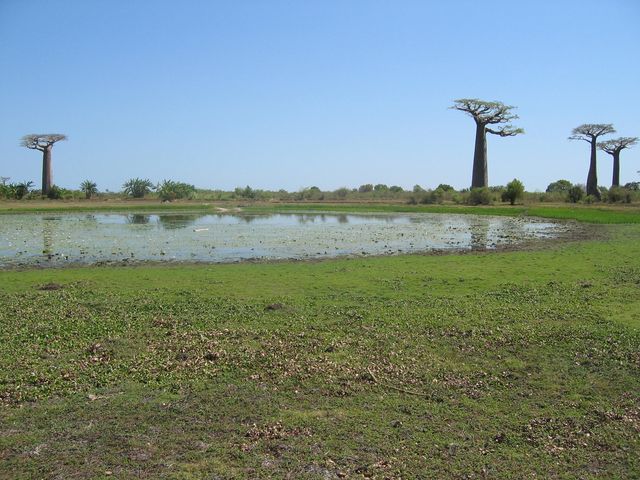 TULEAR MORONDAVA MAINTIRANO MAJUNGA