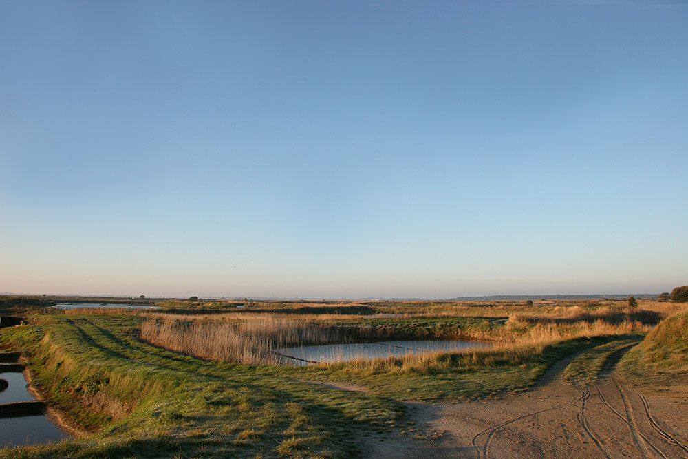 Images des marais salants de Gu&eacute;rande&nbsp;au lever du soleil