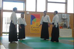 aikido vendee aikikai yonnais stage Thierry à Tarbes