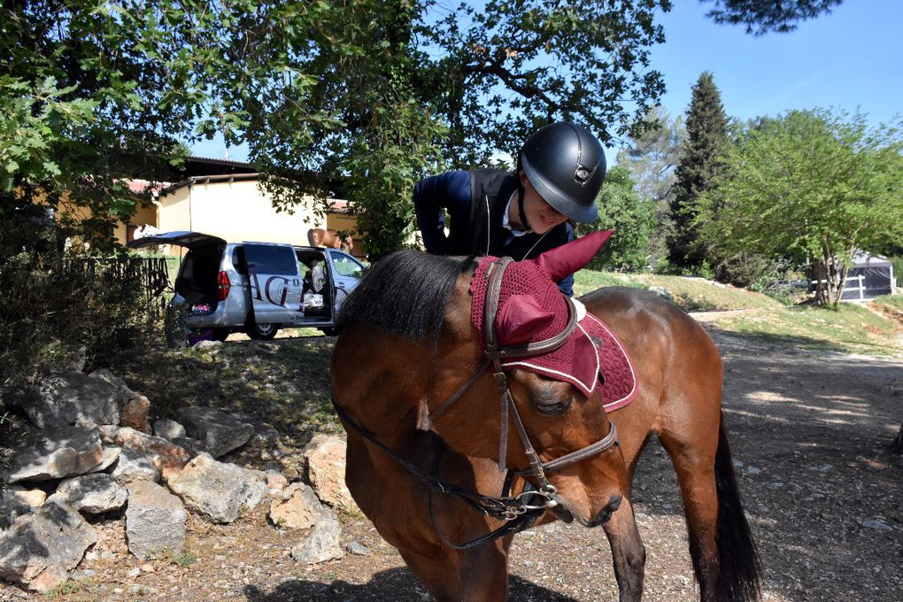 UNE JOURNEE AU CLUB HIPPIQUE