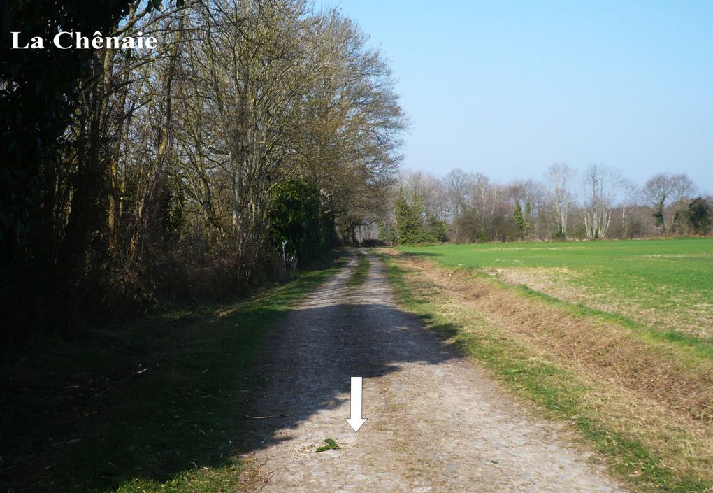 Le parcours de la Ronde des Alpes Mancelles en images