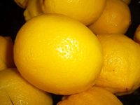 Le citron : un plaisir à partager !
