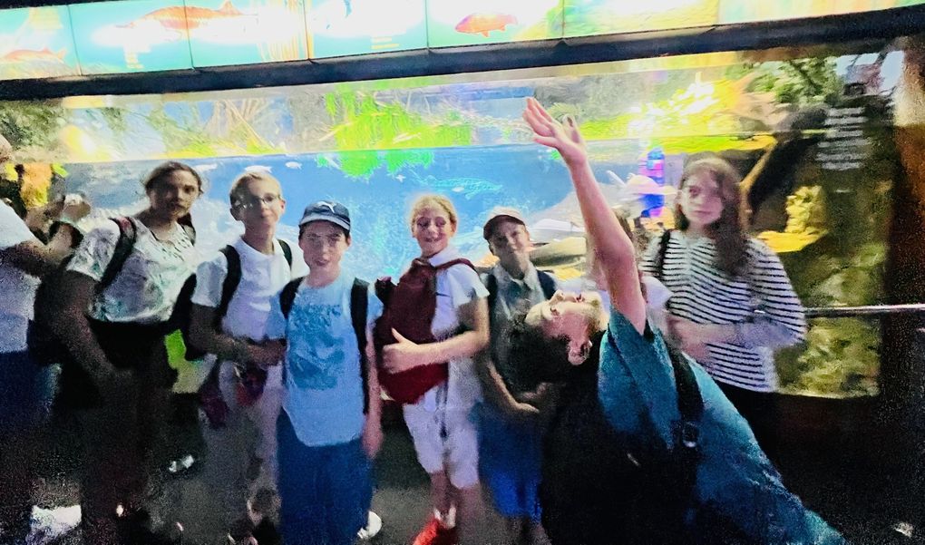 Sortie Jeunes Sagrada Família et Aquarium de Barcelona/Sortida Jovent Sagrada Família i Aquarium de Barcelona...