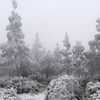 GANZ SELTEN: PERMANENTER SCHNEE AUF GRAN CANARIA