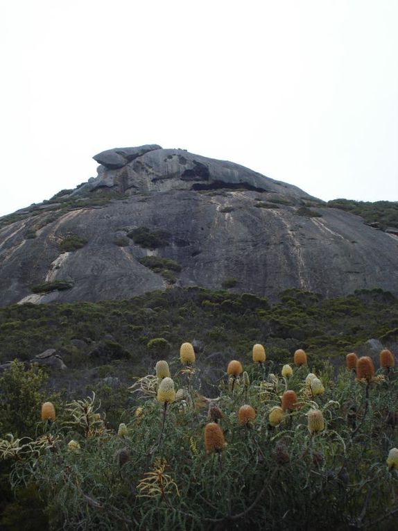 Perth, Cape to Cape, Vallée des Géants, Esperance, Nullarbor, Eyre Peninsula, Port Augusta, Adélaïde