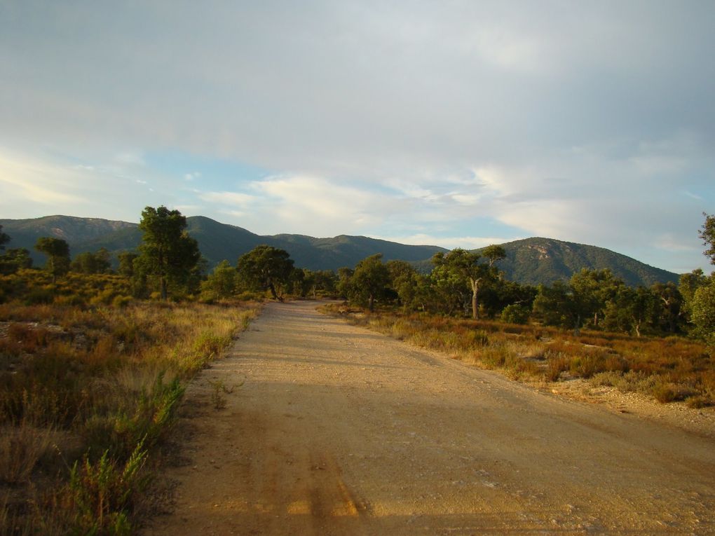 Voici un album photo qui présente quelques photos somptueuses de la plaine des Maures. Vous remarquerez les similitudes avec la savane africaine et surtout le contraste extraordinaire avec le massif des Maures qui surplombe la plaine.