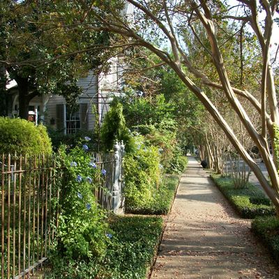 New Orleans, the "Big Easy"