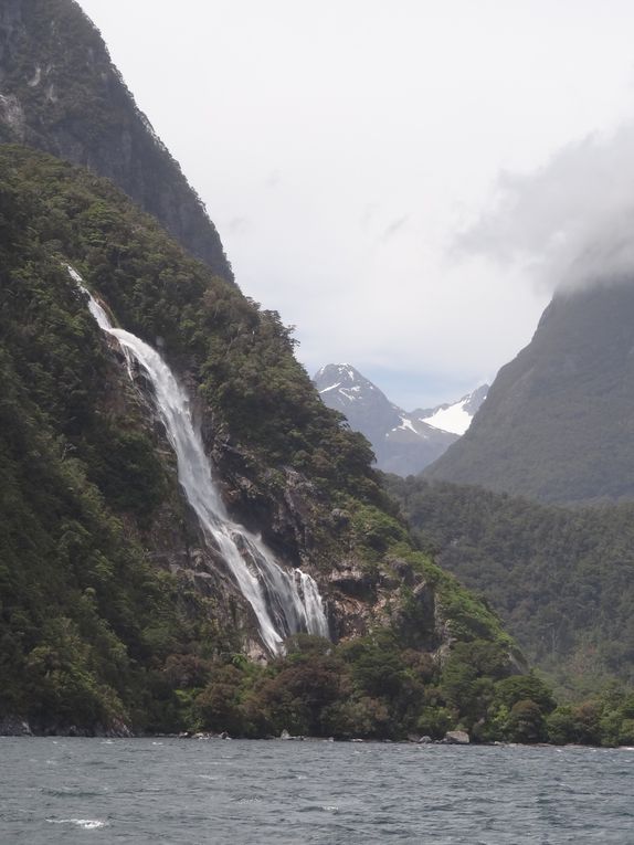 Nos vacances en Nouvelle Zélande du 22 décembre au 11 janvier: Auckland et l'île du Sud