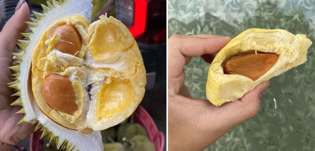 Au cœur des durians – Fruit de saison (24-08)
