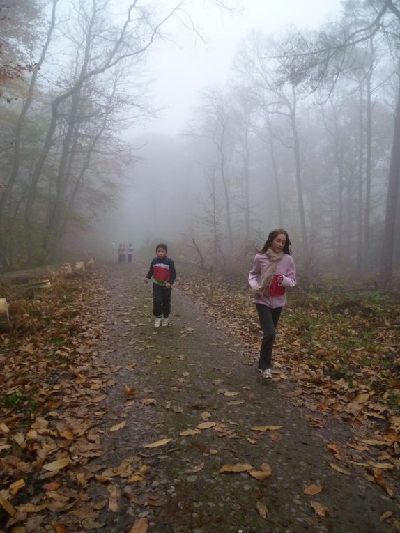 Les CE2, CM1 et CM2 de Brossolette ont participé au cross organisé par l'Office Municipal des Sports en forêt des Essarts