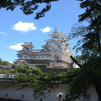 En avance : première photo d'himeji