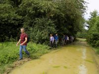 MISY SUR YONNE (Jeudi)