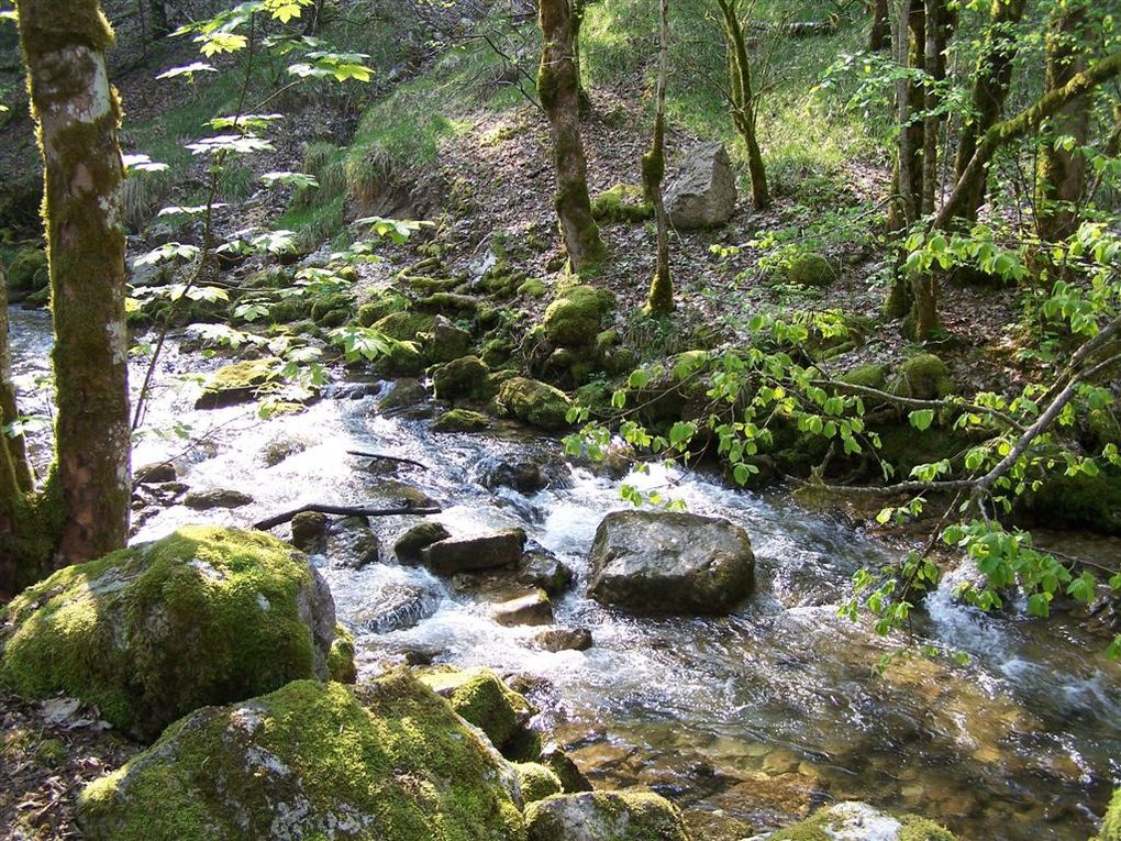 2 des fabuleuses cascades du herisson, situées dans le Jura (l'éventail et le grand saut)